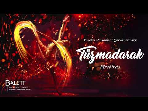 Venekei Marianna / Igor Stravinsky: T?zmadarak | Firebirds (trailer)