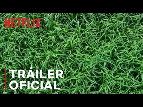 En la hierba alta | Tráiler oficial | Netflix