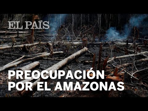 Preocupación mundial por el incendio del Amazonas