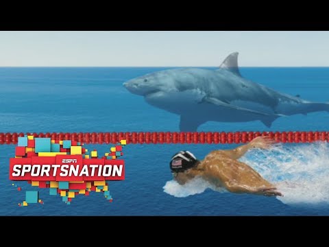 Michael Phelps Have Shot At Beating Great White Shark In Race? | SportsNation | ESPN