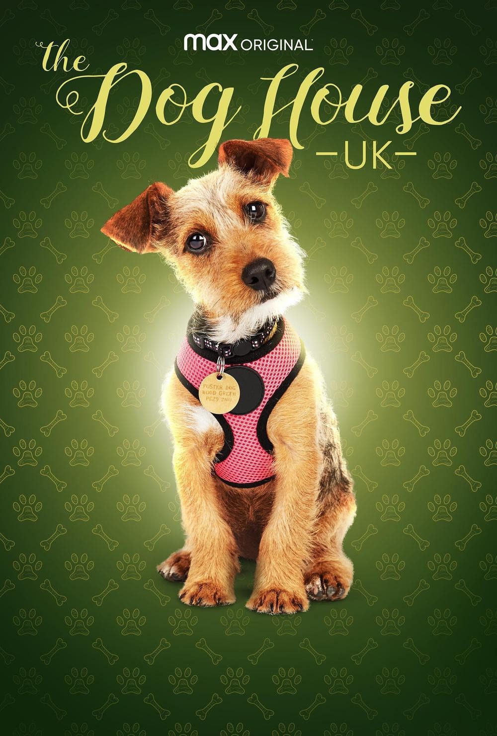 HBO Max Debuts THE DOG HOUSE UK Trailer Martin Cid Magazine