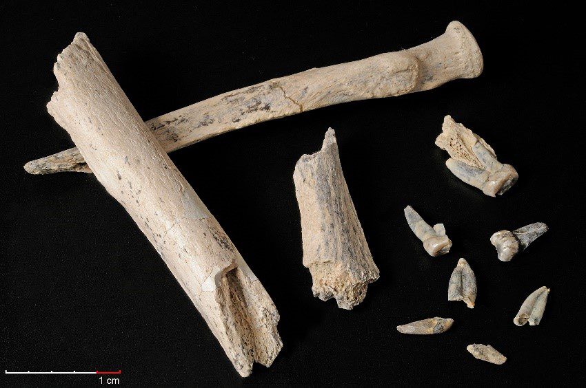 Arqueología de los yacimientos de los lechos I y II de la garganta de Olduvai