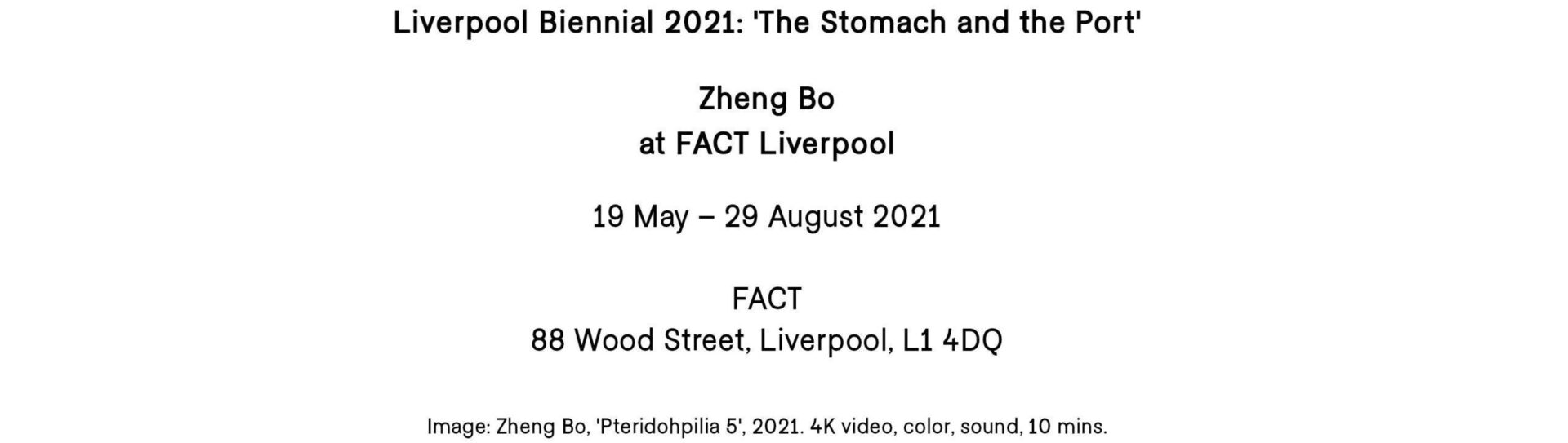 Zheng Bo at Liverpool Biennial 2021