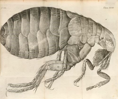 Micrographia: or some Physiological Descriptions of Minute Bodies made by Magnifying Glasses by Robert Hooke (1635-1703). A first edition of Hooke’s most celebrated work and the most influential work in the history of microscopy, it is estimated at $15,000 – 25,000. 
