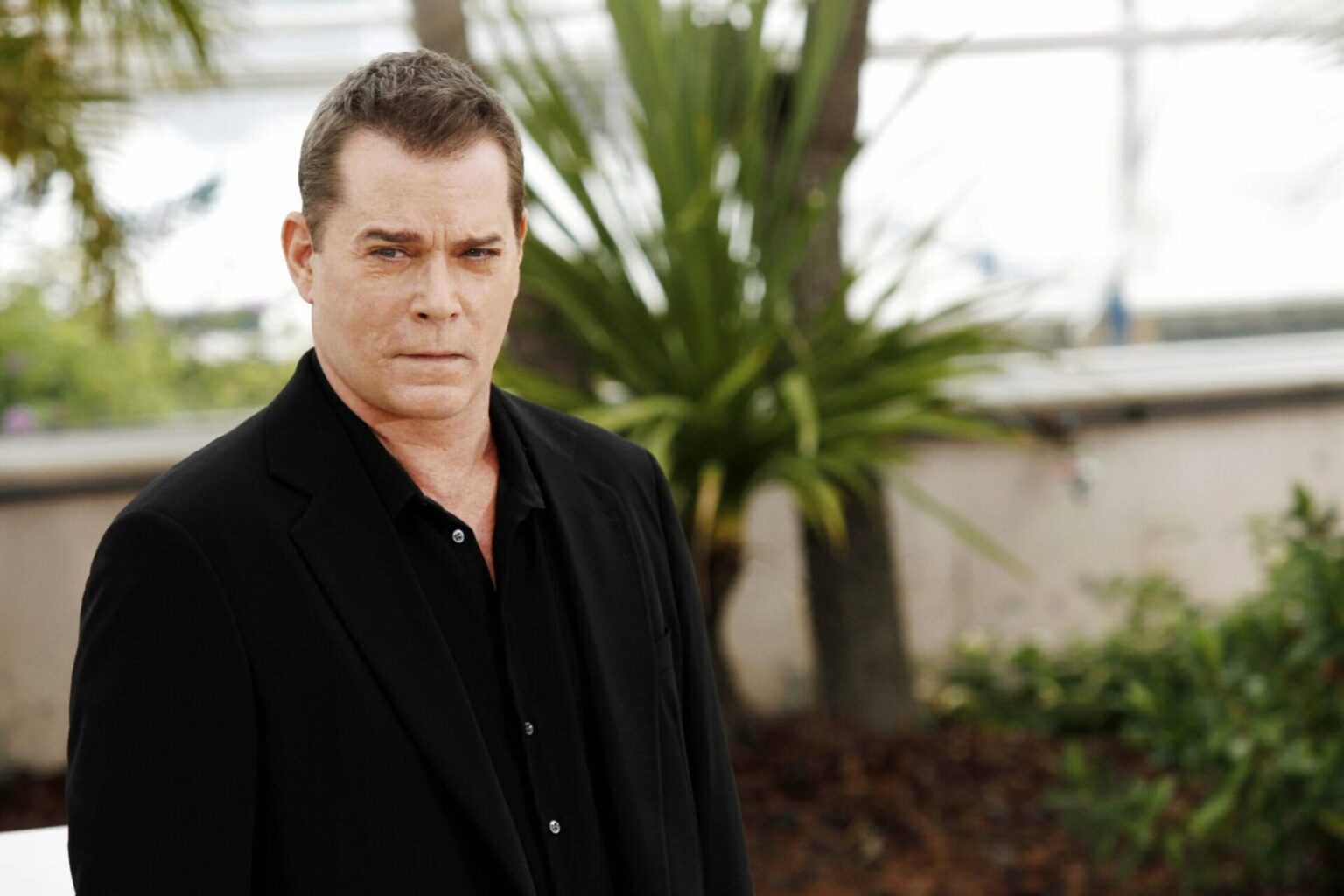 Ray Liotta Biography, Movies, Quotes
