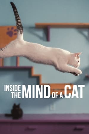 Netflix cat documentary