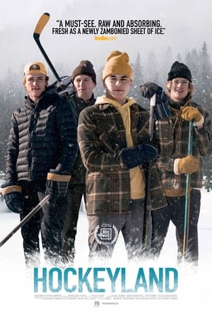 Hockeyland image