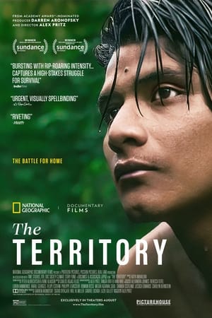 The Territory image