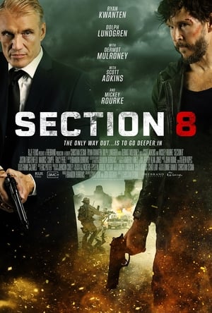 Section 8 image