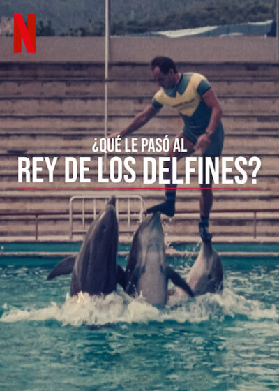 ¿Qué le Pasó al Rey de los Delfines?