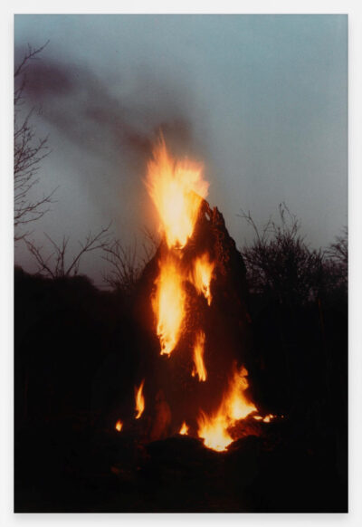 Ana Mendieta, Untitled: Silueta Series, Iowa, From Silueta Works in Iowa, 1976-1978