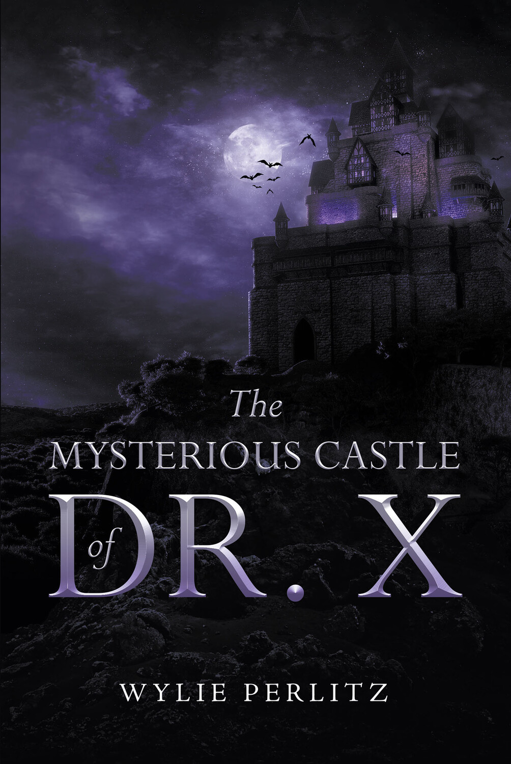 'The Mysterious Castle of Dr. X', by Wylie Perlit