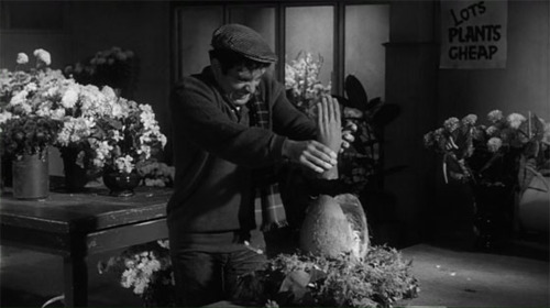 Jonathan Haze in The Little Shop of Horrors (1960)